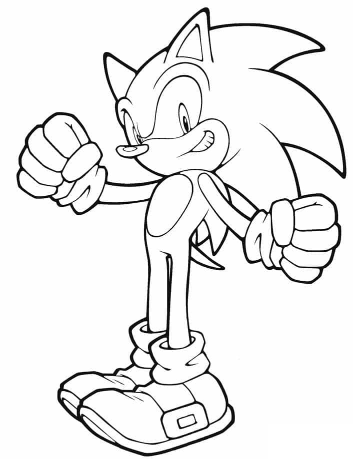 Sonic The Hedgehog S P stmi Omalov nky Pro D ti Sonic The Hedgehog S P stmi Omalov nky Pro D ti